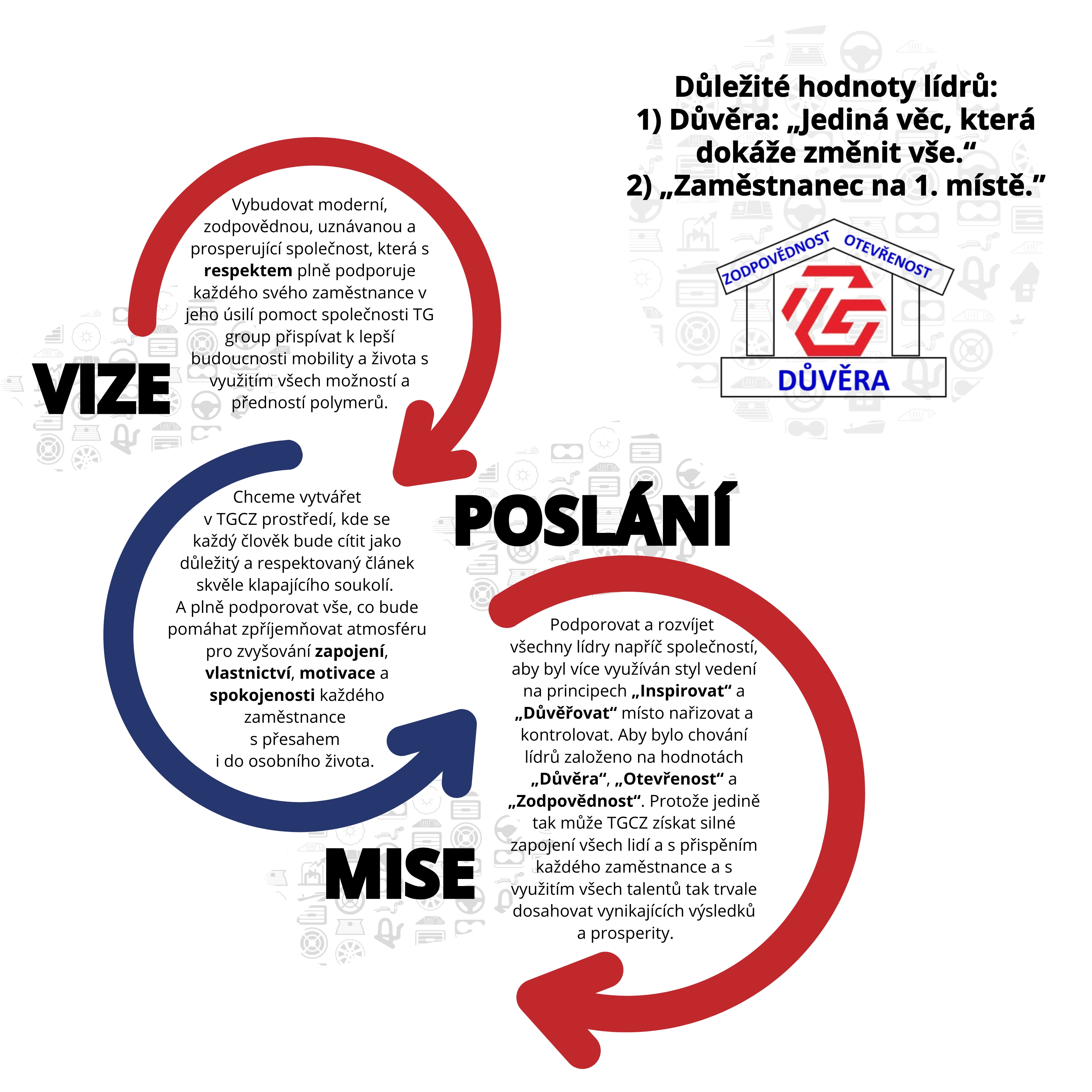 TGCZ vision